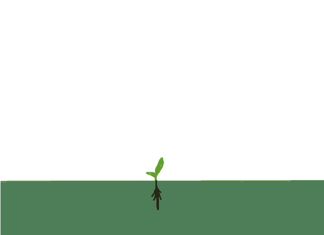 a drawing of a tree with green leaves and roots
