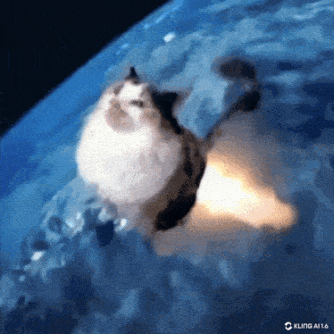 a picture of a cat in space with the watermark kling ai 1.6