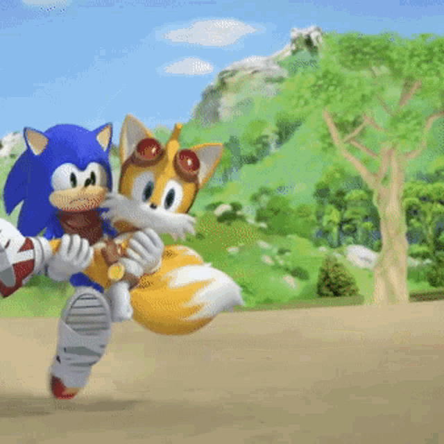 sonic the hedgehog and tails the fox are playing a game together