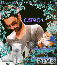 a picture of a man surrounded by cats with the name catboy
