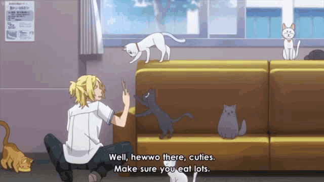 a man sits on the floor surrounded by cats and says well heywo there cuties make sure you eat lots