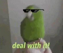 Parrot Deal With It GIF