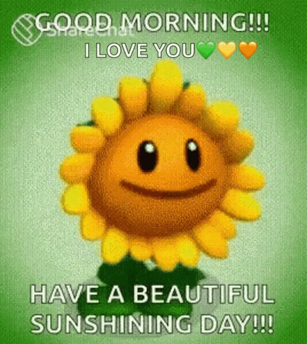 Have A Beautiful Day Sun Shining Day GIF - Have A Beautiful Day Sun Shining Day Good Day GIFs