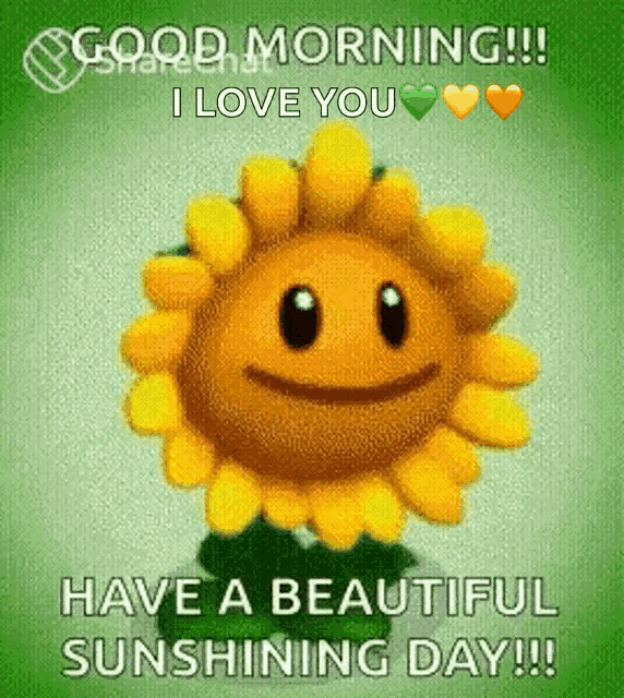 a picture of a sunflower with a face and the words " good morning i love you have a beautiful sunshine day "