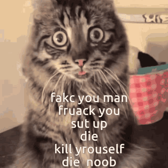 a cat with the words " fakc you man fruack you sut up die kill yrousel die noob "