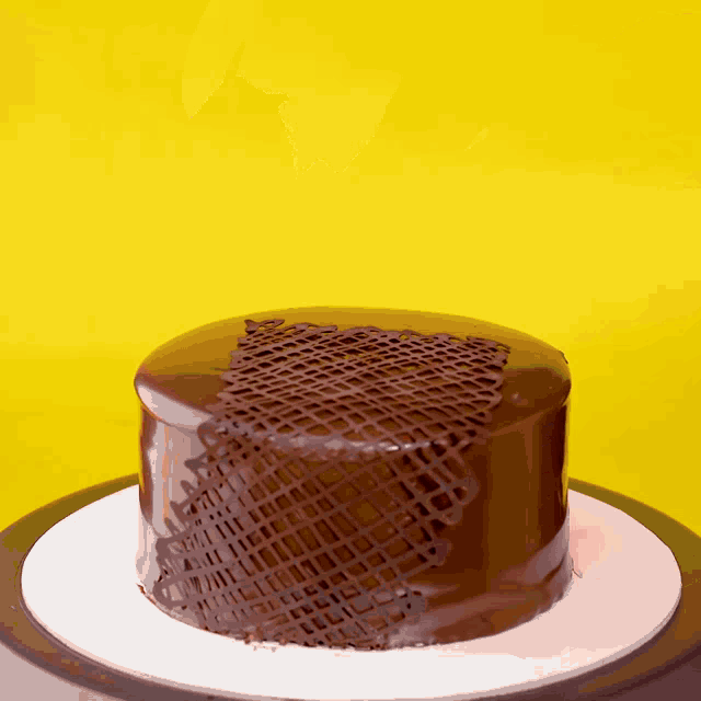 a chocolate cake with a lattice design on top