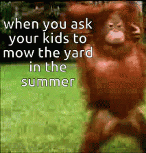 Ask Kids To Mow Yard Mow GIF - Ask Kids To Mow Yard Mow Summer GIFs