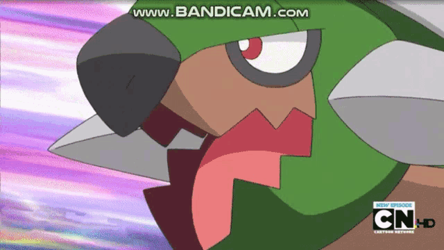 a cartoon of a bird with the words www.bandicam.com at the bottom
