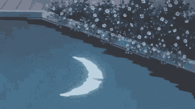 a crescent moon is floating in a swimming pool at night .