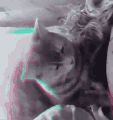 a close up of a cat laying on a bed with a pink and green background