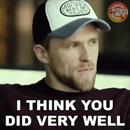 I Think You Did Very Well David Willey GIF - I Think You Did Very Well David Willey Quick Heal Bhajji Blast With Csk GIFs