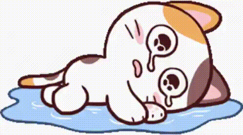 a cat is laying on its back in a puddle of water .