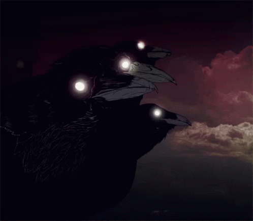 Blackbirds Ravens GIF - Blackbirds Ravens Crows GIFs