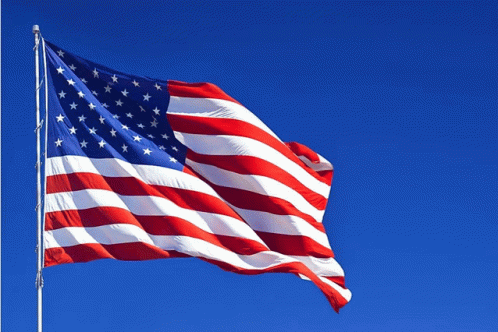 American Flag GIF
