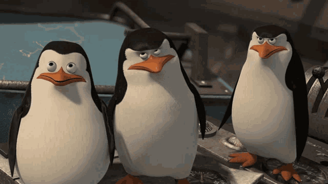 Pingüinos Asesinos GIF - Pingüinos Asesinos GIFs