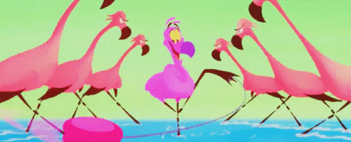 Pink Flamingos Flamingo GIF - Pink Flamingos Flamingo Dancing GIFs