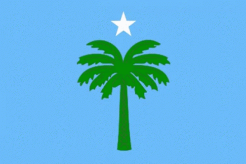 Tripoli Flag Libyan GIF - Tripoli Flag Libyan GIFs