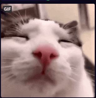 a close up of a cat 's face with its eyes closed and a gif icon above it