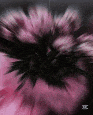 a blurry image of a pink and black flower with the letter m on the bottom right