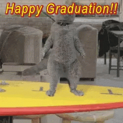 Happy Graduation Cat Dance GIF - Happy Graduation Cat Dance Happy Dance GIFs