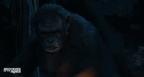 Planet Of The Apes Koba GIF - Planet Of The Apes Koba Stare GIFs