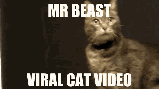 a picture of a cat with the words mr beast viral cat video above it