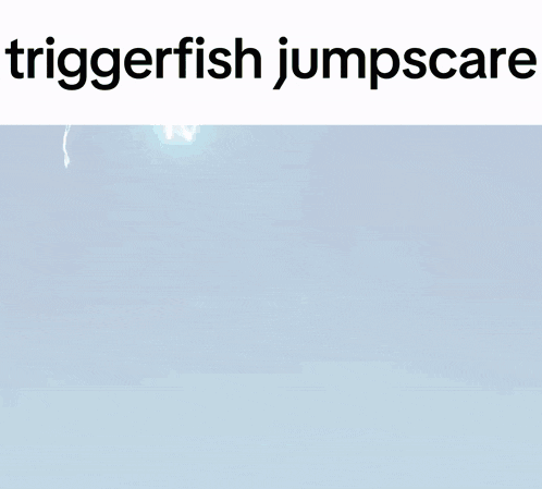 a blue background with the words triggerfish jumpscare