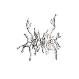 a drawing of a coral reef with a white background .