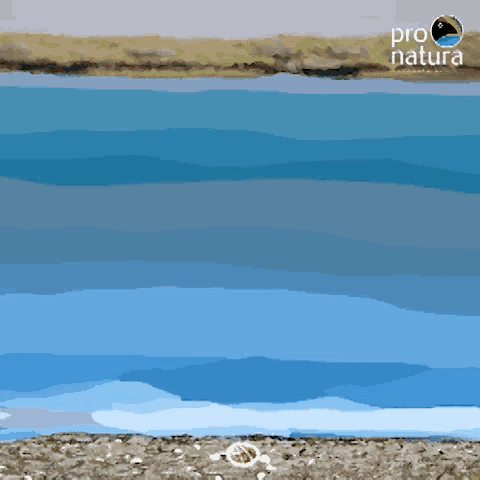 a painting of a body of water with the words pro natura in the corner