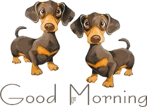 Goodmorning Puppy GIF - Goodmorning Puppy Wiggle GIFs