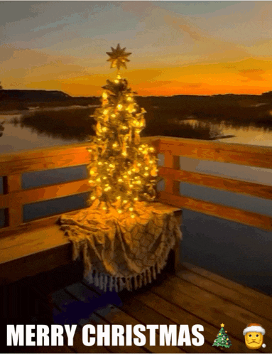 a merry christmas greeting card with a christmas tree