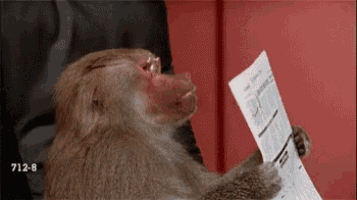 a monkey is reading a newspaper with the number 712-8 on the bottom right