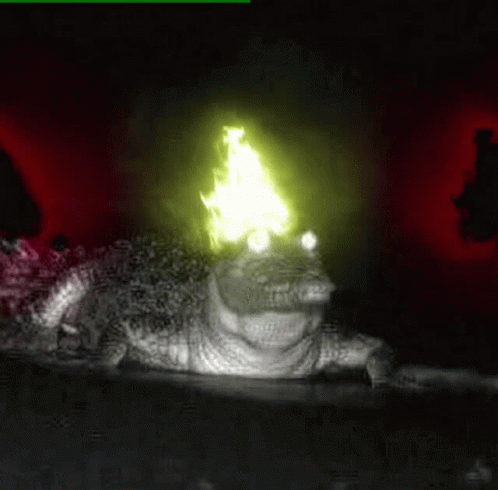 Fire Kroki Crocodille GIF - Fire Kroki Crocodille Flame GIFs