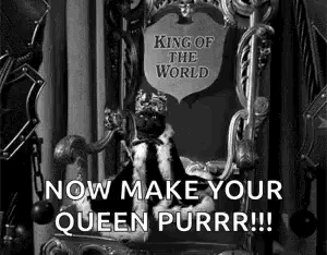 a cat is sitting on a throne with a crown on it .