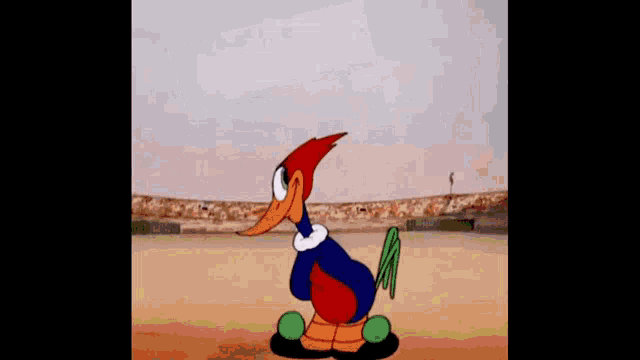 woody woodpecker is a cartoon character from the woody woodpecker cartoon series .