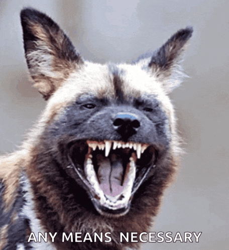 a dog with its mouth open and the words any means necessary behind it