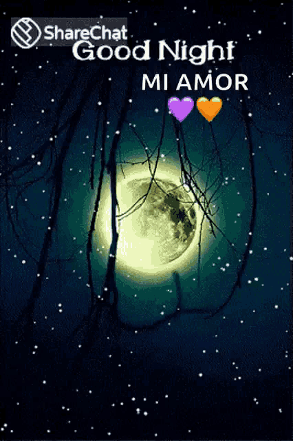 a picture of a full moon with the words good night mi amor on it