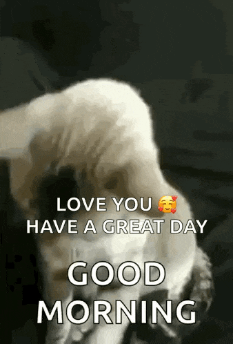 a dog is laying down on a bed with the words `` love you have a great day good morning '' .