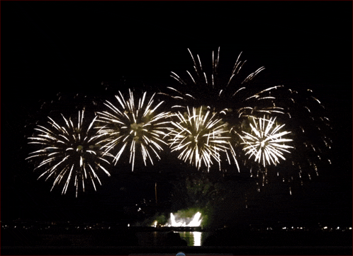 fireworks are displayed in the night sky over a lake