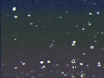 a close up of a cup with a green top