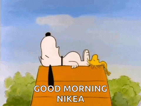 snoopy and woodstock are laying on top of a wooden house and saying good morning nikea .