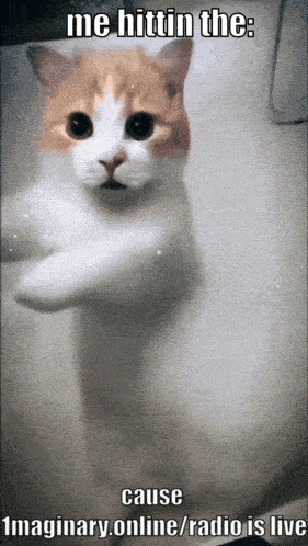 a picture of a cat with the words me hittin the cause imaginary.online/radio is live