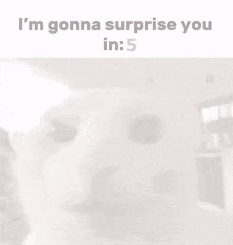 a picture of a cat with the words i 'm gonna surprise you in 4 below it