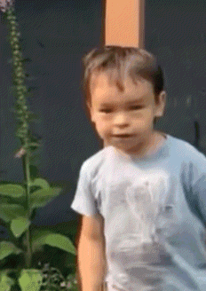 a young boy wearing a blue shirt with a picture of an elephant on it