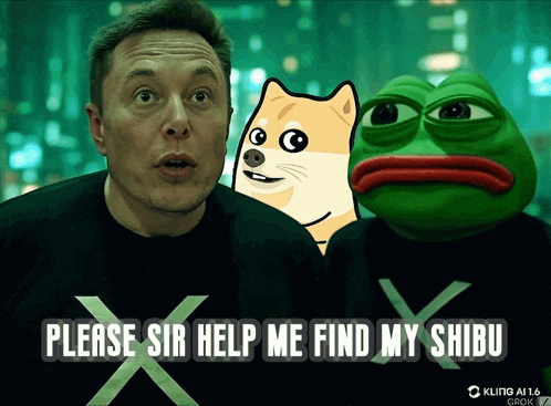 elon musk is standing next to a doge and a frog with the words please sir help me find my shibu