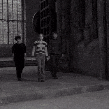 a group of people are walking down a street .