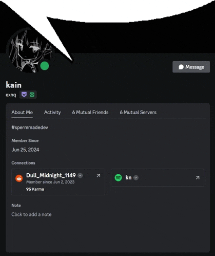 a screenshot of a person 's discord profile