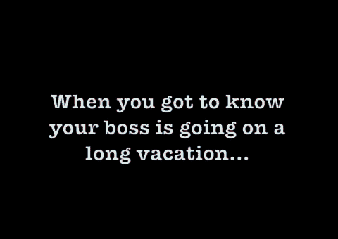 Work Humor: Boss Going On Vacation GIF - Work Life Humor GIFs