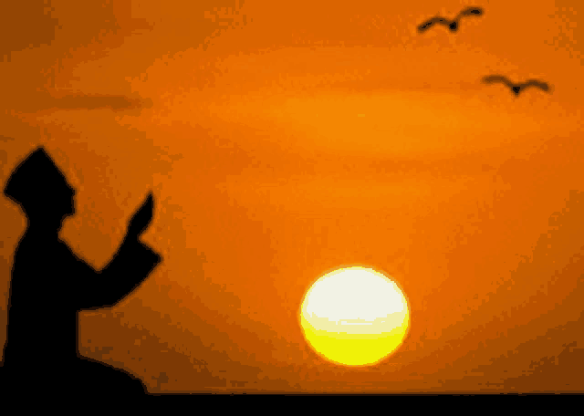 a silhouette of a person praying in front of a sunset with birds flying in the background .