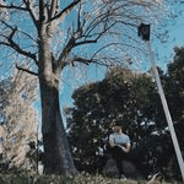 a man is sitting under a tree in a park with a dog .
